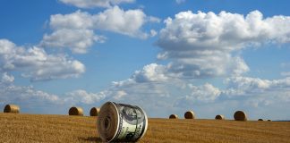 Dollar roll on the cleaned wheaten field