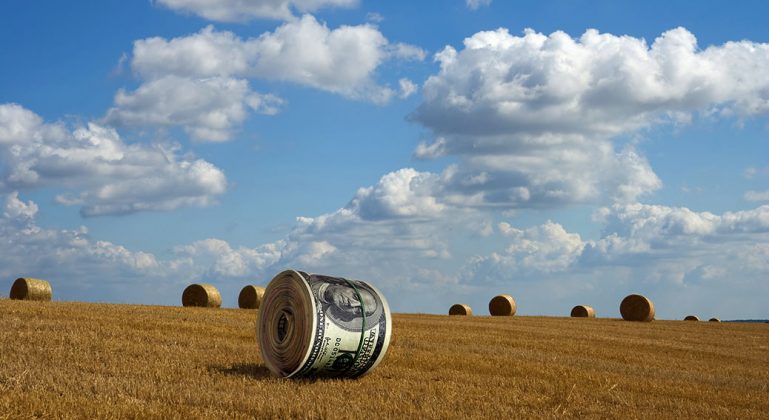 Dollar roll on the cleaned wheaten field