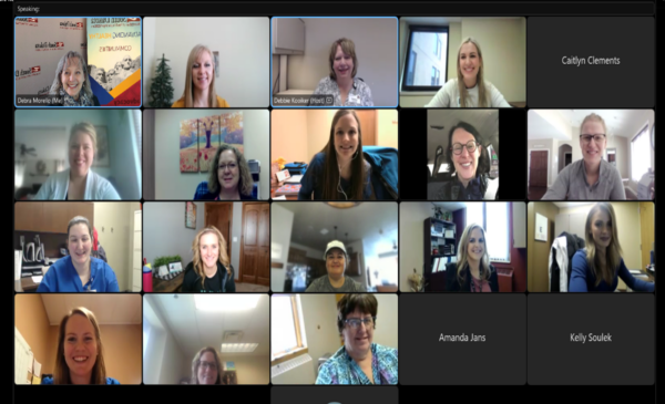 Screen shot of virtual meeting attendees. 