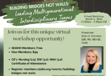Building Bridges Not Walls: Leading Multigenerational Interdisciplinary Team